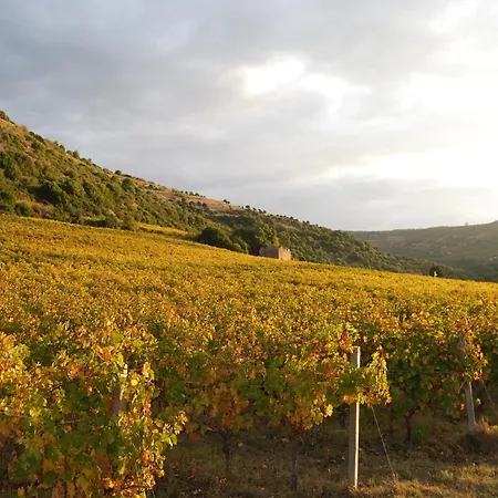 Relaxing With Veranda 펜션 보사