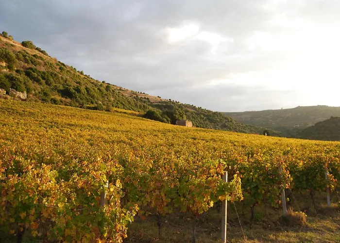 Relaxing With Veranda Дом отдыха Боса